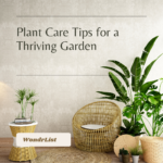 7 Essential Plant Care Tips for Beginners: Keep Your Greenery Thriving All Year Round