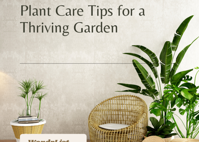 7 Essential Plant Care Tips for Beginners: Keep Your Greenery Thriving All Year Round