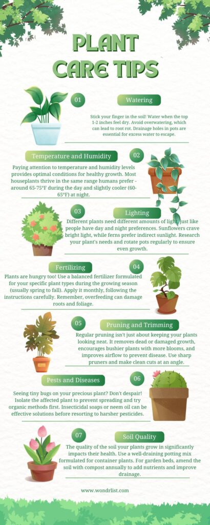 Plant Care Tips for a Thriving Garden

